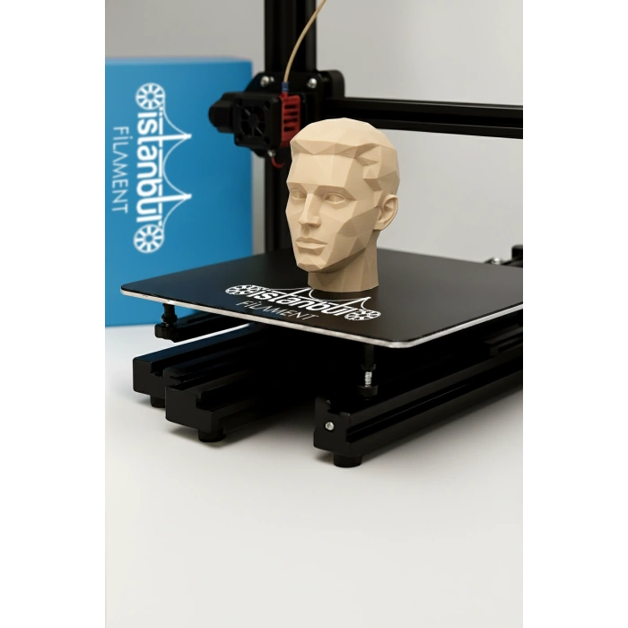 PLA + 500mms Ten Rengi1KG