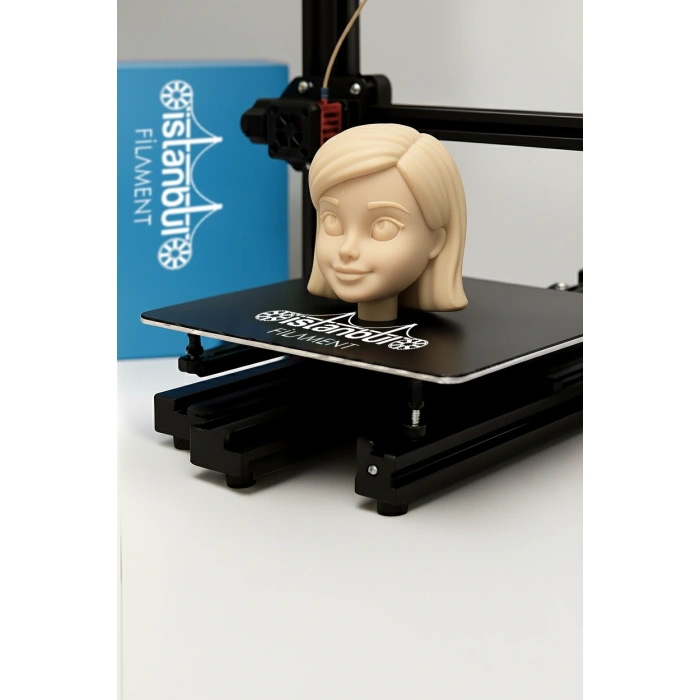 PLA + 500mms Ten Rengi1KG