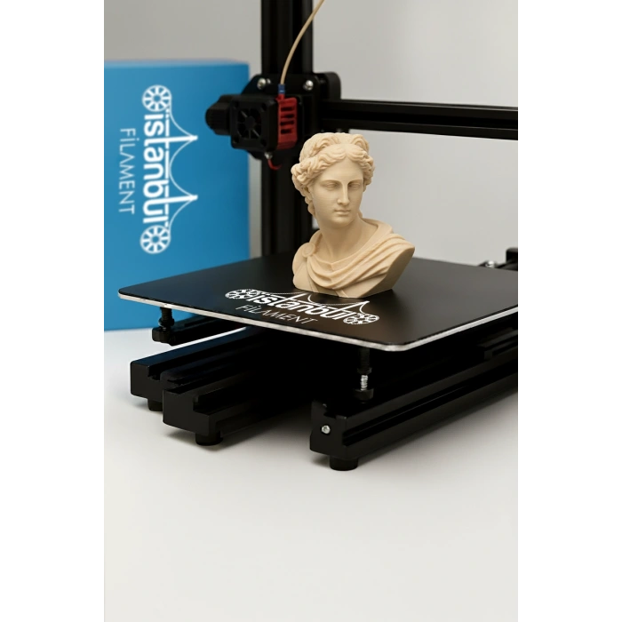 PLA + 500mms Ten Rengi1KG