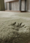 Carpet Dekor İthal Peluş Yumuşak Dekoratif Halı Taş Rengi