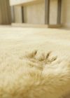Carpet Dekor İthal Peluş Yumuşak Dekoratif Halı Krem Rengi
