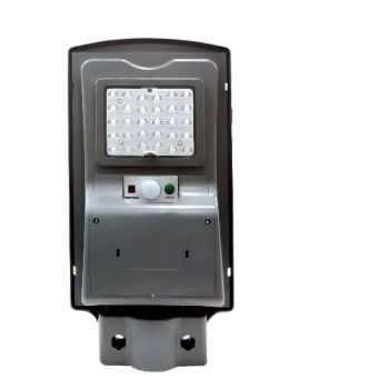 30W GÜNEŞ ENERJİLİ SOKAK AYDINLATMA LAMBASI CATA CT-4690