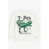 Erkek Çocuk Dinozor Baskılı %100 Pamuk Sweatshirt