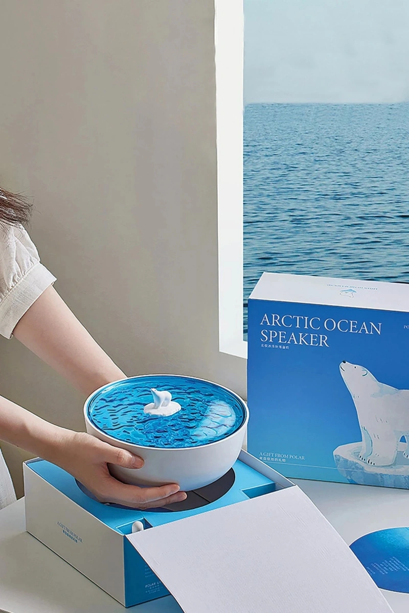 RDBYDN Z5 Arktik Okyanus Temalı BT Kablosuz Hoparlör (113914) - Mavi