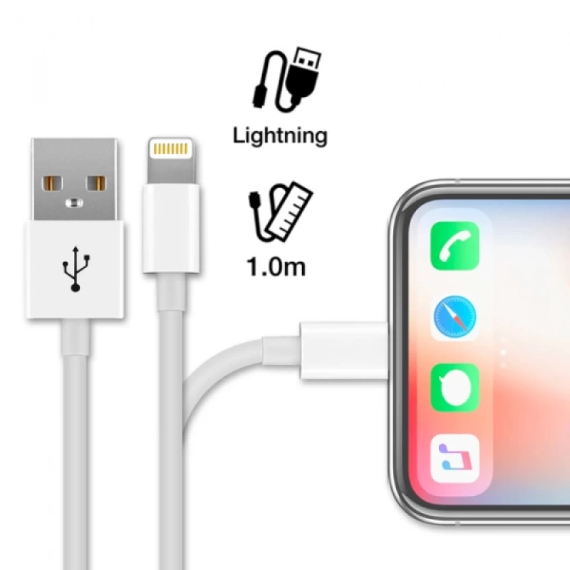 Ally 2 in 1 İPhone İPad Lightning Şarj Usb Kablo ve Şarj Aleti Set