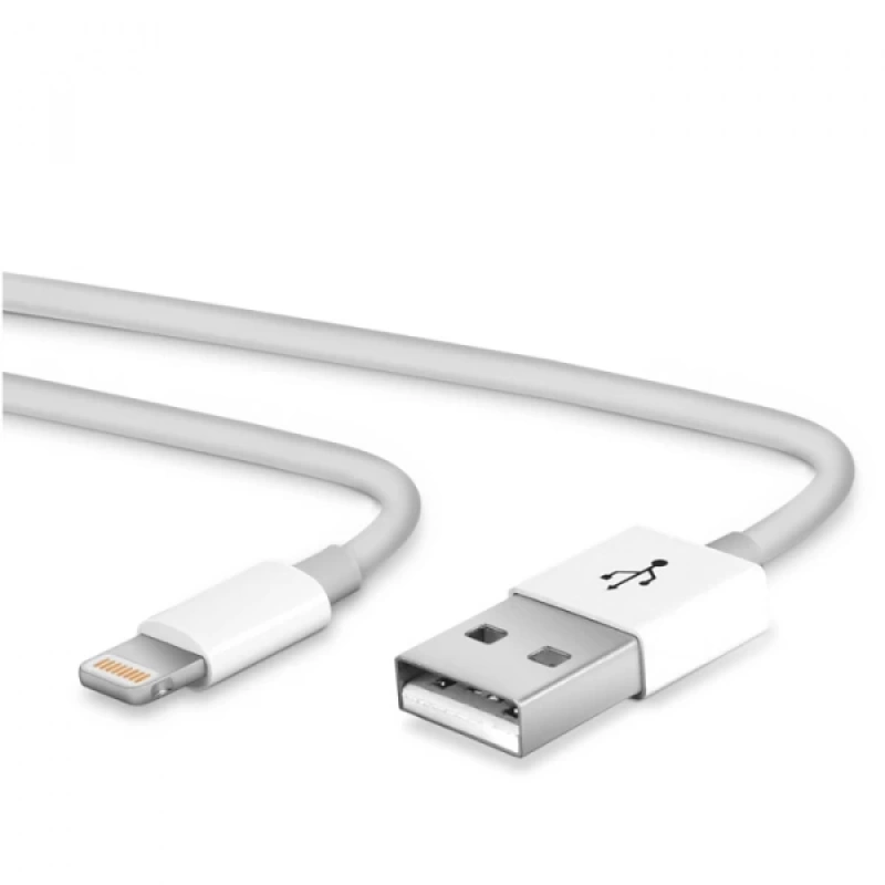 Ally 2 in 1 İPhone İPad Lightning Şarj Usb Kablo ve Şarj Aleti Set