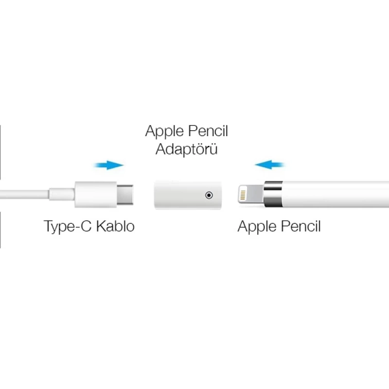 Ally Dişi Lightning to Dişi Type-C Dönüştürücü Apple Pencil Kalem Şarj Adaptörü