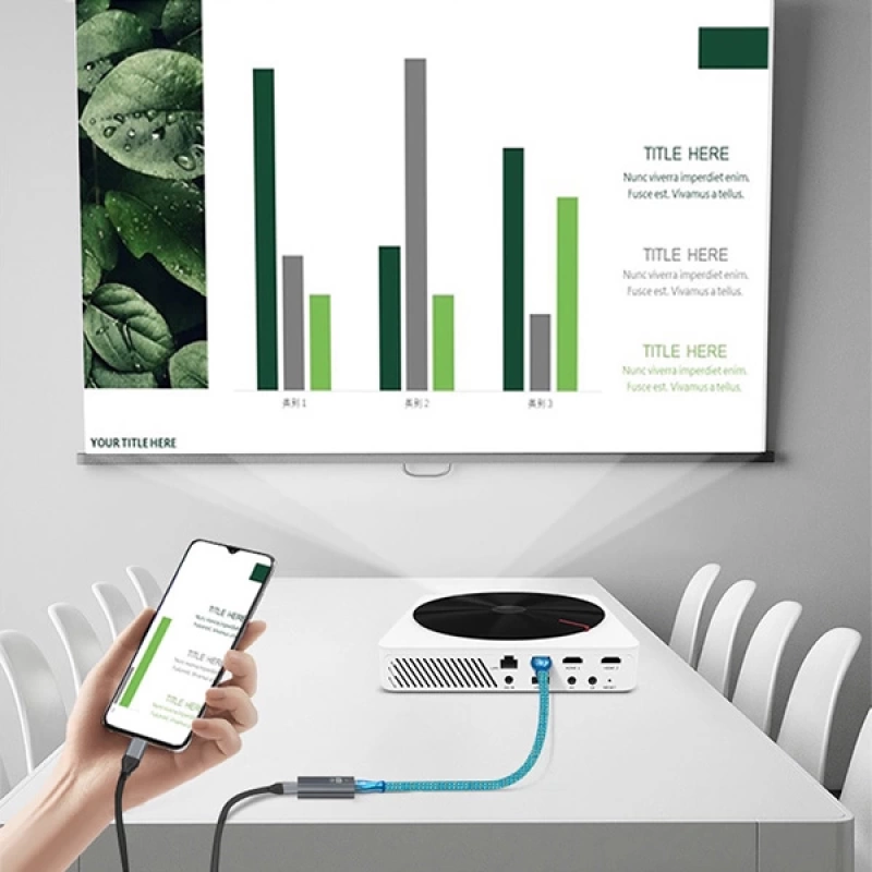 ALLY USB-C input DP output 4K Dönüştürücü Adaptör 60H