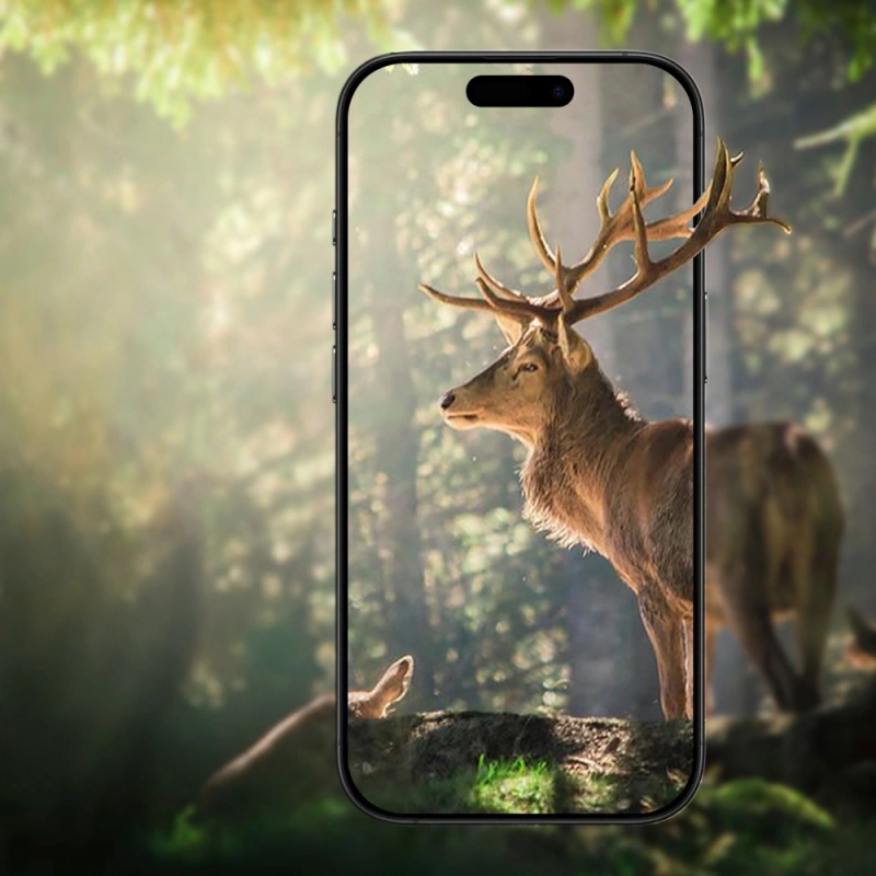 Apple iPhone 17 Air Zore Mikro Kamera Lens Koruyucu