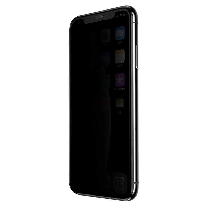 Apple iPhone XS Max 6.5 Zore Anti-Dust Privacy Temperli Ekran Koruyucu