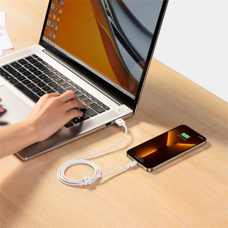 Baseus Simple Wisdom USB to iPhone Lightning Hızlı Data Şarj Kablosu 2.4a 1m