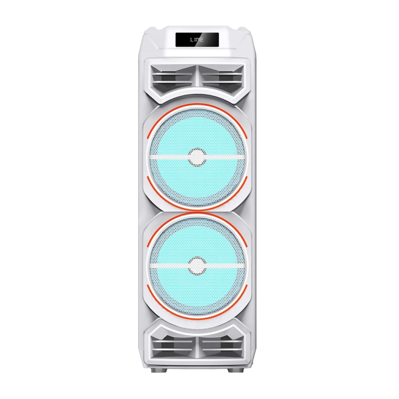 Zore GD-2828 Dijital LED Göstergeli Mikrofonlu RGB TWS Çift 8 inç Stereo Bass Kablosuz Karaoke Hoparlör