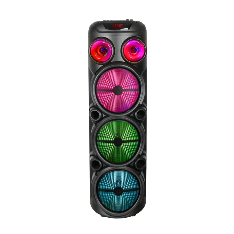 Zore GD-2887 Dijital LED Göstergeli Mikrofonlu RGB TWS 8 inç Stereo Bass Kablosuz Karaoke Hoparlör