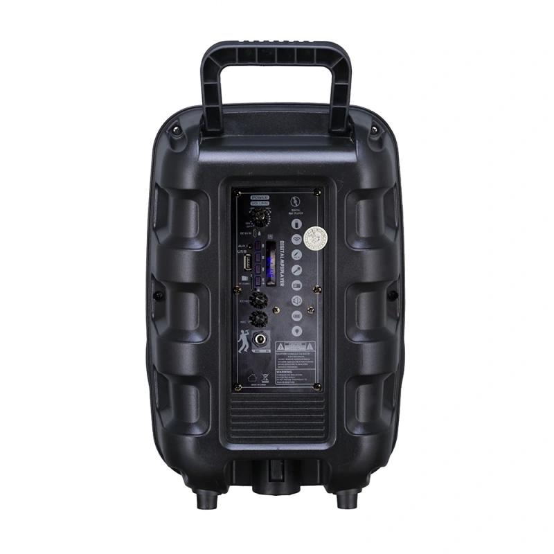 Zore PK-17 FM Radyolu Mikrofonlu RGB TWS 8 inç Stereo Bass Kablosuz Karaoke Hoparlör