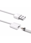 Ally Apple Pencil-kalem İçin Usb Şarj Kablosu 1 metre