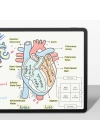 Apple iPad Pro 11 2024 Kağıt Hisli Benks Mat Paper-Like Ekran Koruyucu