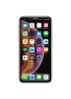 Apple iPhone 12 Zore Anti-Dust Privacy Temperli Ekran Koruyucu