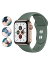 Apple Watch 38mm Zore Watch Gard 01 Ekran Koruyucu