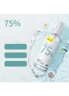 Baseus Lets Go Portable %75 Alkol Bazlı Cerrahi El Dezenfektanı 120 ml