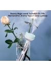 Baseus Magic wand Ev Ofis Nemlendirici Aroma Yayıcı+ Gece Lambası