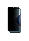 Galaxy S25 Plus Amazingthing Radix Privacy Parmak İzi Bırakmayan Temperli Cam Ekran Koruyucu