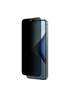 Galaxy S25 Plus Amazingthing Radix Privacy Parmak İzi Bırakmayan Temperli Cam Ekran Koruyucu