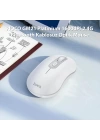 HOCO GM21 Platinium 1600dPi 2.4G Bluetooth Kablosuz Optik Mouse