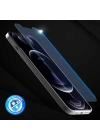 More TR Apple iPhone 12 Araree Subcore Temperli Ekran Koruyucu