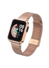 Xiaomi Redmi Watch (Mi Watch Lite) Zore KRD-59 Metal Kordon