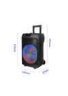 Zore GD-1203 Dijital LED Göstergeli FM Radyolu Mikrofonlu RGB TWS 12 inç Stereo Bass Kablosuz Karaoke Hoparlör