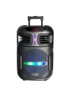 Zore GD-1503 Dijital LED Göstergeli FM Radyolu Mikrofonlu RGB TWS 15 inç Stereo Bass Kablosuz Karaoke Hoparlör