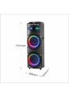 Zore GD-2016 Dijital LED Göstergeli FM Radyolu Mikrofonlu RGB TWS Çift 12 inç Stereo Bass Kablosuz Karaoke Hoparlör