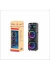 Zore GD-2016 Dijital LED Göstergeli FM Radyolu Mikrofonlu RGB TWS Çift 12 inç Stereo Bass Kablosuz Karaoke Hoparlör