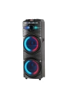 Zore GD-2016 Dijital LED Göstergeli FM Radyolu Mikrofonlu RGB TWS Çift 12 inç Stereo Bass Kablosuz Karaoke Hoparlör