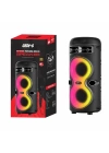 Zore GD-2402 Dijital LED Göstergeli FM Radyolu Mikrofonlu RGB TWS Çift 4 inç Stereo Bass Kablosuz Karaoke Hoparlör