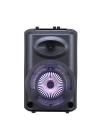 Zore GD-903 Dijital LED Göstergeli FM Radyolu Mikrofonlu RGB TWS 8 inç Stereo Bass Kablosuz Karaoke Hoparlör