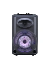 Zore GD-903 Dijital LED Göstergeli FM Radyolu Mikrofonlu RGB TWS 8 inç Stereo Bass Kablosuz Karaoke Hoparlör