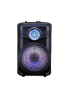 Zore GD-904 Dijital LED Göstergeli FM Radyolu Mikrofonlu RGB TWS 8 inç Stereo Bass Kablosuz Karaoke Hoparlör