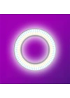 Zore LJJ22 RGB Light 56cm Işıklı Telefon Tutucu Ring Light