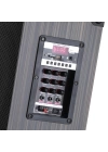 Zore LT-910 Dijital LED Göstergeli FM Radyolu Mikrofonlu Gitar Girişli TWS 10 inç Stereo Bass Kablosuz Karaoke Hoparlör