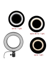 Zore M-16 Işıklı Telefon Tutucu Ring Light