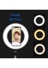 Zore M20 Işıklı Telefon Tutucu Ring Light