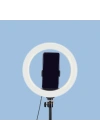 Zore MJ20 RGB Light 8 inç Işıklı Telefon Tutucu Ring Light