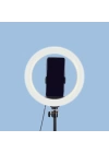 Zore MJ20 RGB Light 8 inç Işıklı Telefon Tutucu Ring Light