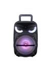 Zore PK-17 FM Radyolu Mikrofonlu RGB TWS 8 inç Stereo Bass Kablosuz Karaoke Hoparlör