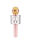 Zore WS-858 Karaoke Mikrofon