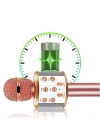 Zore WS-858 Karaoke Mikrofon