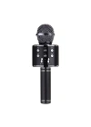 Zore WS-858 Karaoke Mikrofon