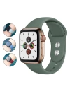 More TR Apple Watch 38mm Zore Watch Gard 01 Ekran Koruyucu