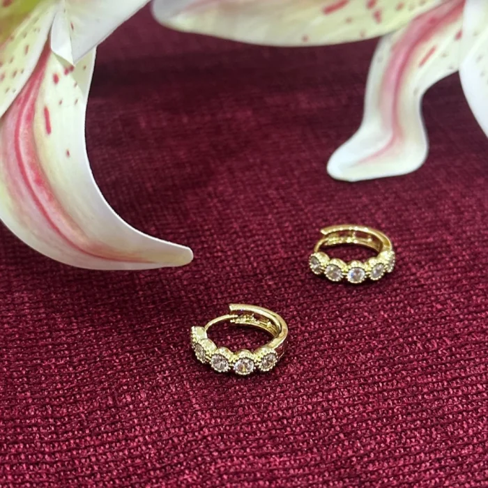 Çelik Rahi Taşlı Küpe Gold